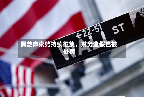 黑芝麻索赔持续征集，财务造假已被处罚-第2张图片