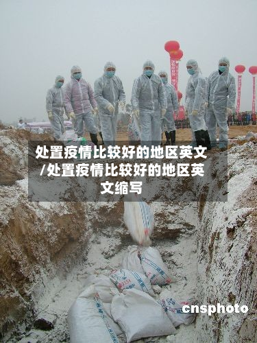处置疫情比较好的地区英文/处置疫情比较好的地区英文缩写