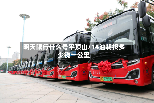 明天限行什么号平顶山/14油耗投多少钱一公里