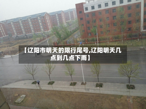 【辽阳市明天的限行尾号,辽阳明天几点到几点下雨】