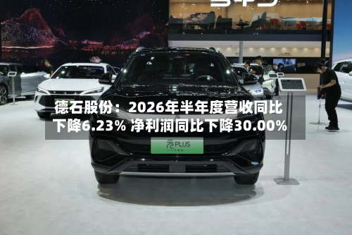 德石股份：2026年半年度营收同比下降6.23% 净利润同比下降30.00%-第1张图片