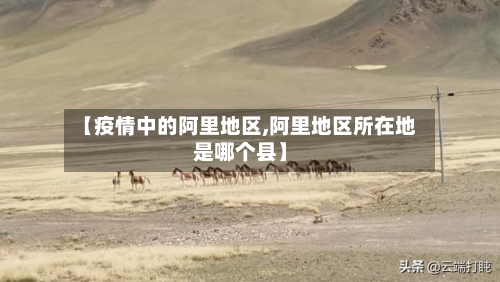 【疫情中的阿里地区,阿里地区所在地是哪个县】