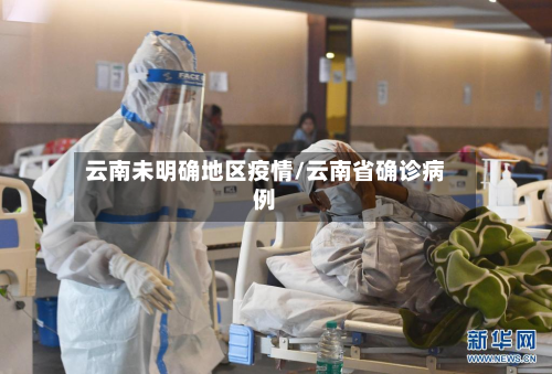 云南未明确地区疫情/云南省确诊病例