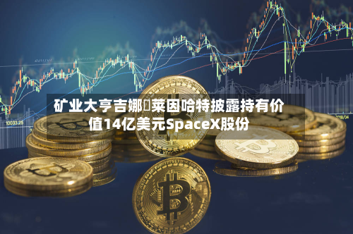 矿业大亨吉娜・莱因哈特披露持有价值14亿美元SpaceX股份-第2张图片
