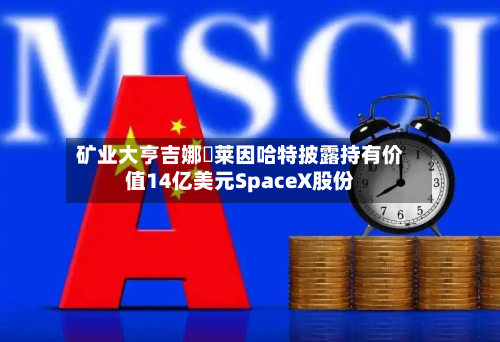 矿业大亨吉娜・莱因哈特披露持有价值14亿美元SpaceX股份-第3张图片