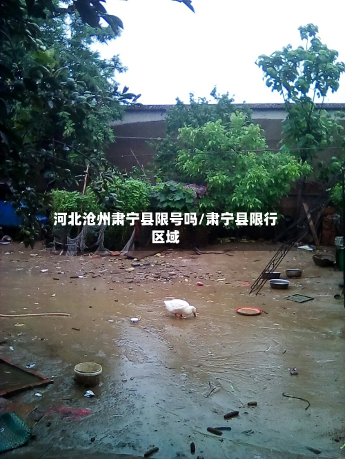 河北沧州肃宁县限号吗/肃宁县限行区域-第2张图片