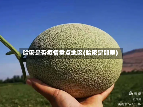 哈密是否疫情重点地区(哈密是那里)-第2张图片
