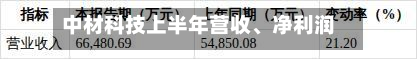 中材科技上半年营收、净利润均增逾20%-第2张图片