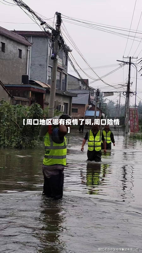 【周口地区哪有疫情了啊,周口险情】