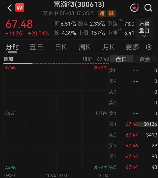 百亿龙头富瀚微	，“一	”字涨停